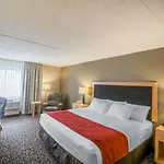 Comfort Inn - Nys Fairgrounds
